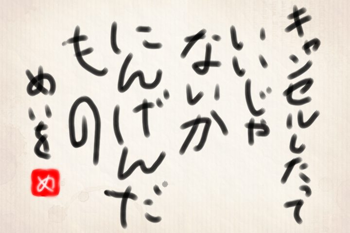 キャンセルしたっていいじゃないかにんげんだもの。めいを